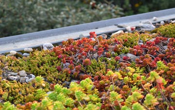 the cost of Patrington Haven green roof installation