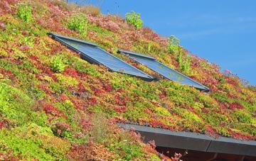 Patrington Haven living roof systems